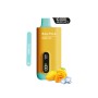 Saltica Ekranlı 10000 Mango Ice Disposable Vape Bar